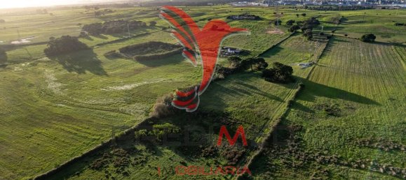 42000m² Land in Sines, Portugal No. 96860 15