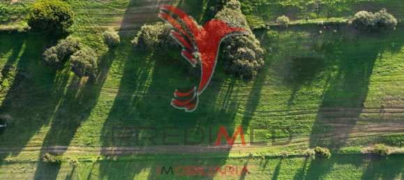 42000m² Land in Sines, Portugal No. 96860 13