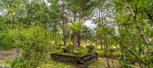 7 غرف نوم منزل في Quinta do Conde, Portugal رقم 91596 13