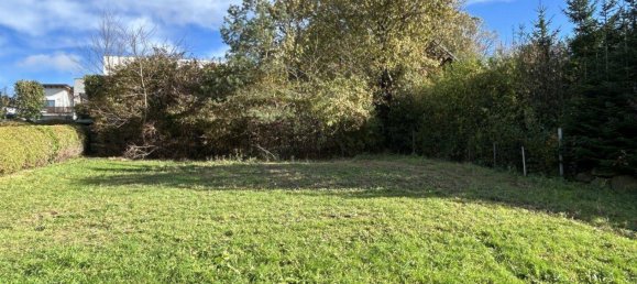 3 rooms House in Pilgersdorf, Austria No. 50304 29