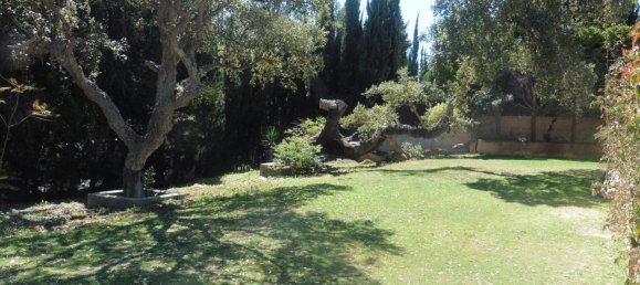 5 غرف نوم منزل في Cadiz, Spain رقم 29247 6