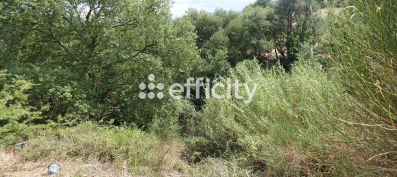 Земельный участок 67840м² в Трессер, Франция № 93604 8