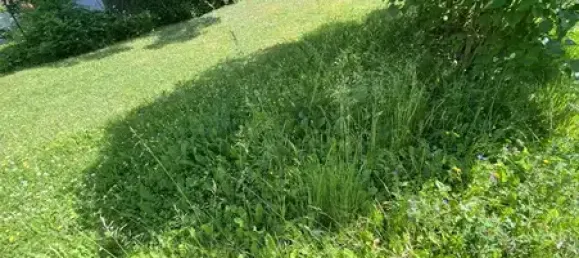 4 غرف نوم تاون هاوس في Gotha, Germany رقم 132158 16