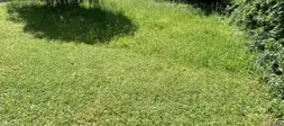 4 غرف نوم تاون هاوس في Gotha, Germany رقم 132158 14