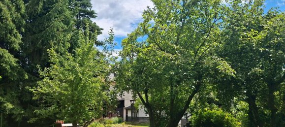 1 bedroom House in Vogtlandkreis, Germany No. 230712 19