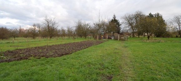 2 Schlafzimmer Haus in Nettancourt, France, Nr. 41650 12