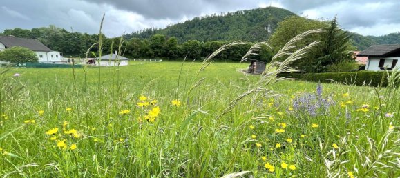 6257m² Land in Gratkorn, Austria No. 214810 2