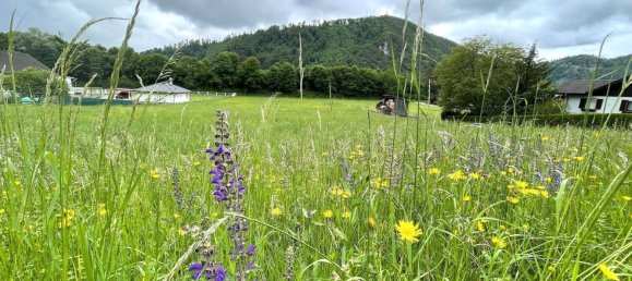 6257m² Land in Gratkorn, Austria No. 214810 4