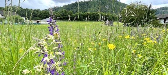 6257m² Land in Gratkorn, Austria No. 214810 3