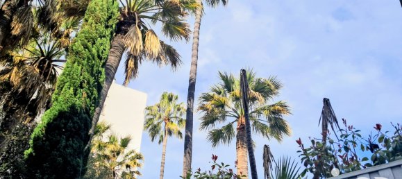 3 rooms Apartment in Cannes, France No. 352149 7