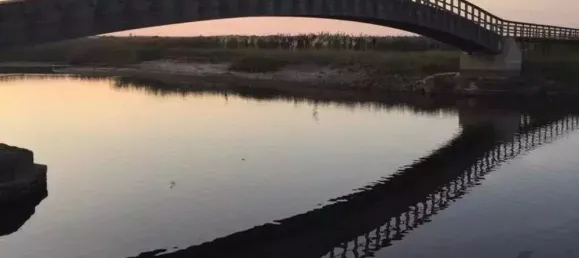 253m² Land in Espinho, Portugal No. 93273 9