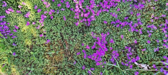 5غرفة مزرعة في Vorpommern-Greifswald, Germany رقم 278927 32