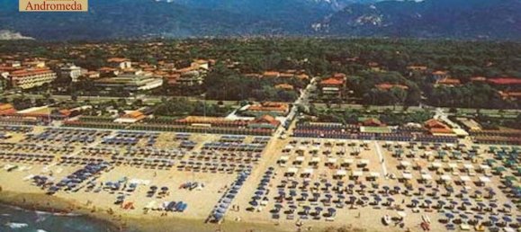 6 rooms Villa in Forte dei Marmi, Italy No. 139473 15