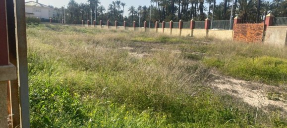  Land in Alicante, Spain No. 97648 53