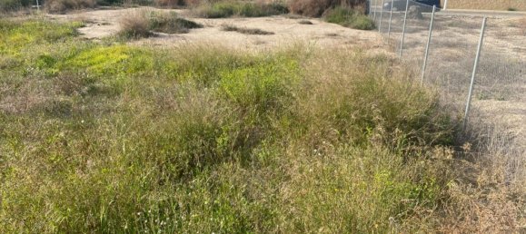  Land in Alicante, Spain No. 97648 65