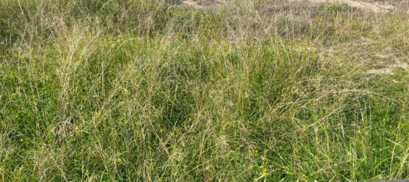  Land in Alicante, Spain No. 97648 51