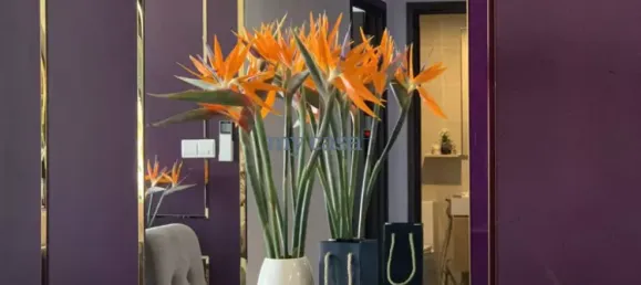 2 bedrooms Apartment in Thu Duc, Vietnam No. 8067 8