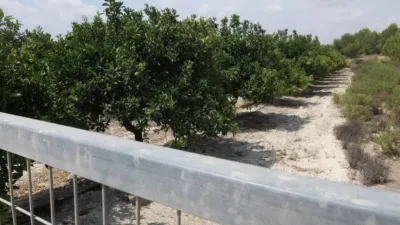 Grundstück in San Miguel de Salinas, Spain 106650m², Nr. 243966