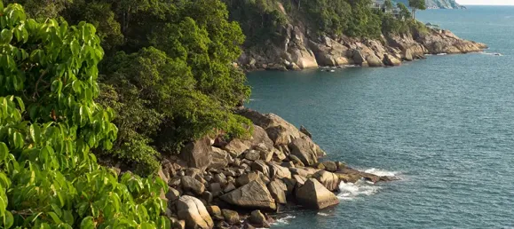 5 غرف نوم فيلا في Phuket, Thailand رقم 79608 4