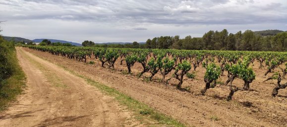 12 chambres Maison à Torrelavit, Spain No. 114715 9