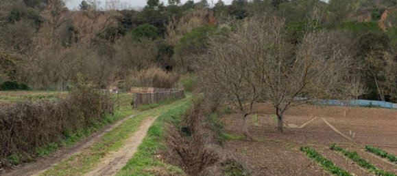 12 chambres Maison à Torrelavit, Spain No. 114715 8