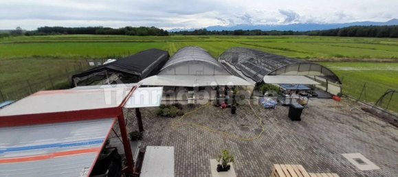 10 bedrooms Villa in Lenta, Italy No. 355981 24