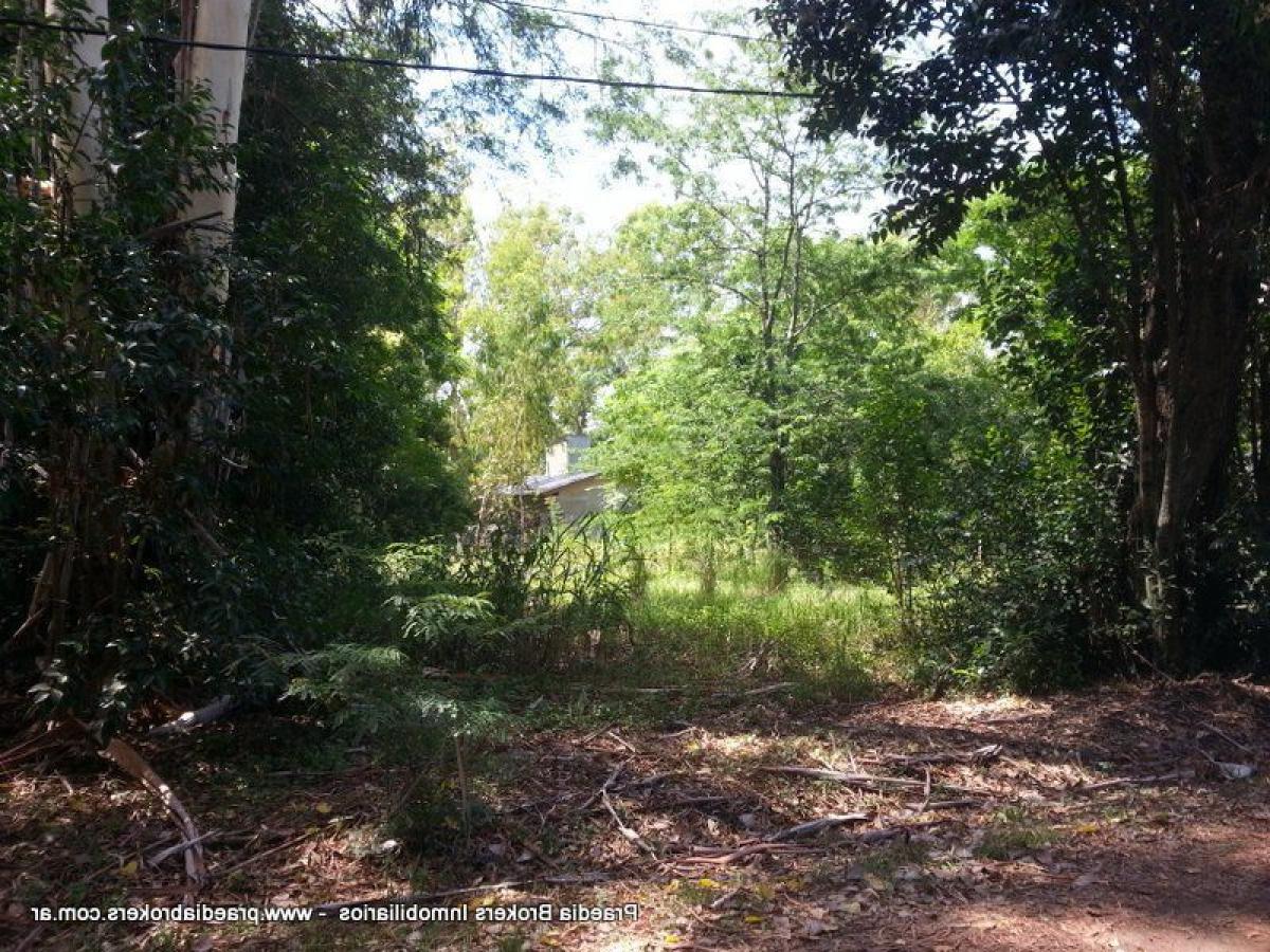 Terrain à Cordoba, Argentina No. 37792