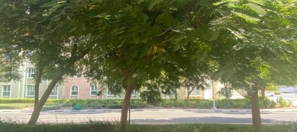 Studio in Discovery Gardens, UAE No. 42577 10