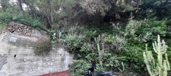 8 rooms Villa in Ventimiglia, Italy No. 170135 13