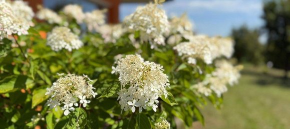 3-salle Bungalow à Kukmirn, Austria No. 237477 22