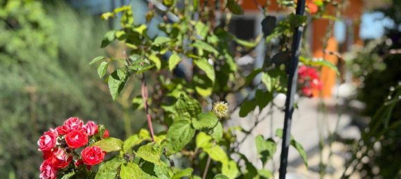 3-salle Bungalow à Kukmirn, Austria No. 237477 17