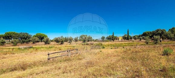 6 bedrooms House in Coruche, Portugal No. 26305 39