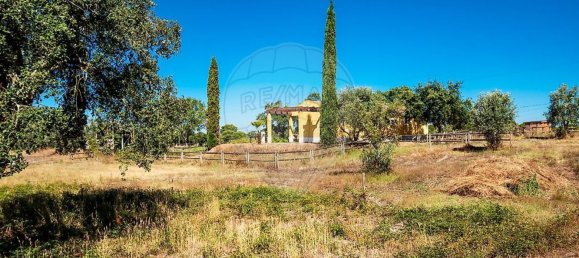 6 bedrooms House in Coruche, Portugal No. 26305 14