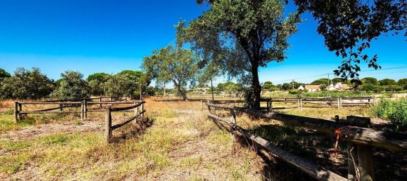 6 bedrooms House in Coruche, Portugal No. 26305 16