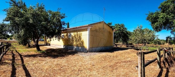6 bedrooms House in Coruche, Portugal No. 26305 12