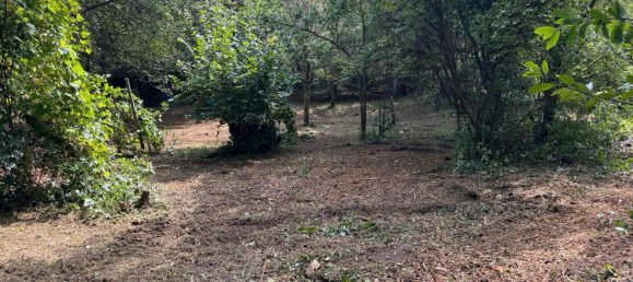 Land in Ostalbkreis, Germany No. 295083 8