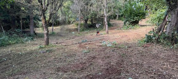 Land in Ostalbkreis, Germany No. 295083 6