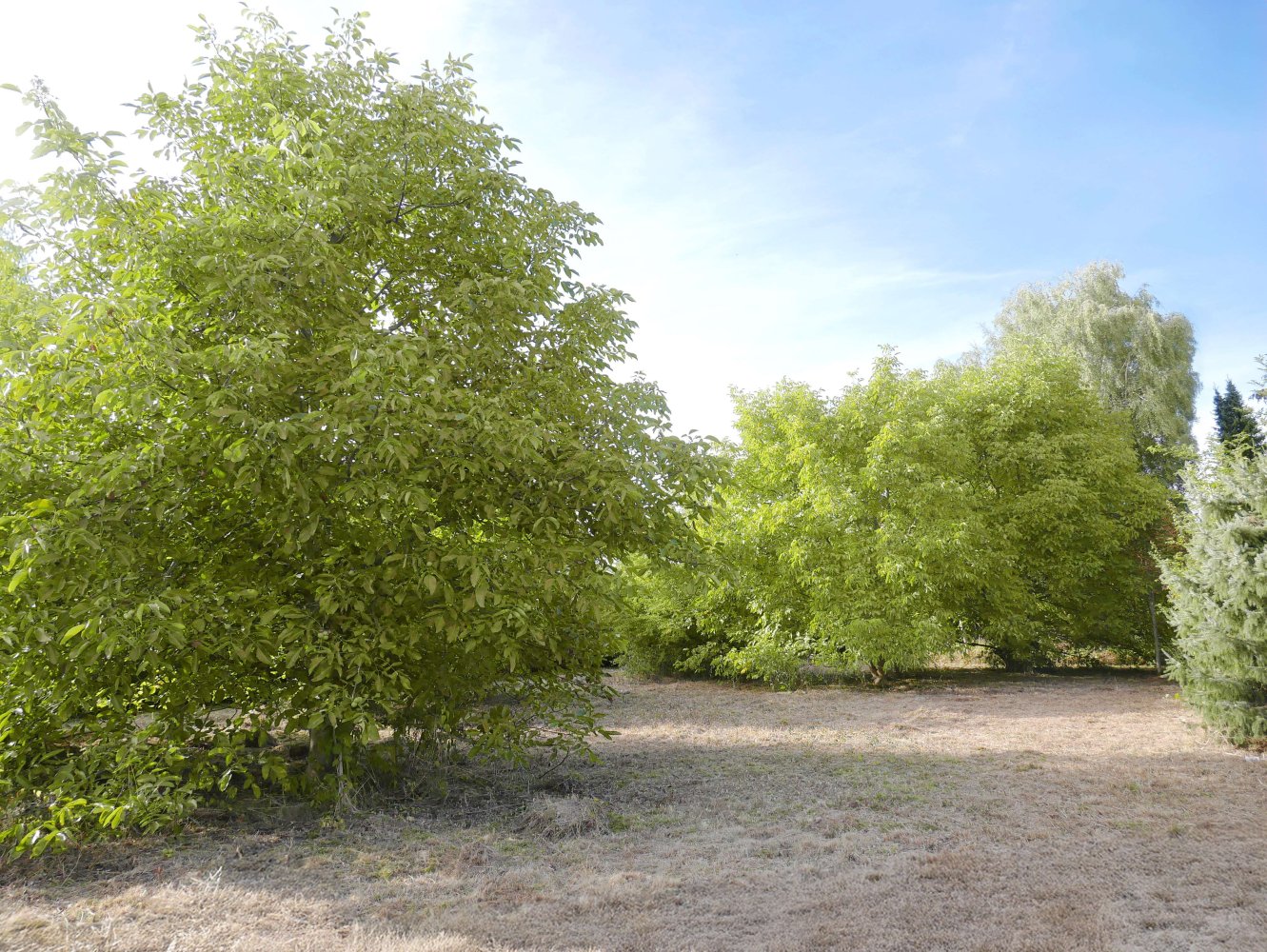 Terreno en Kassel, Germany No. 311669