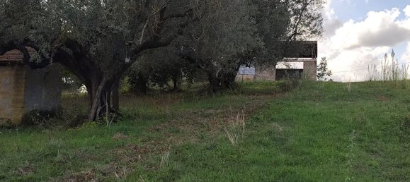 Grundstück in Marta, Italy, Nr. 338848 8