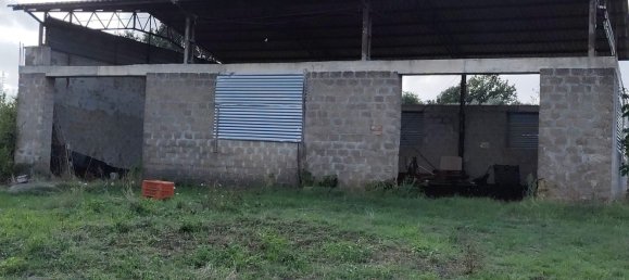 Grundstück in Marta, Italy, Nr. 338848 7