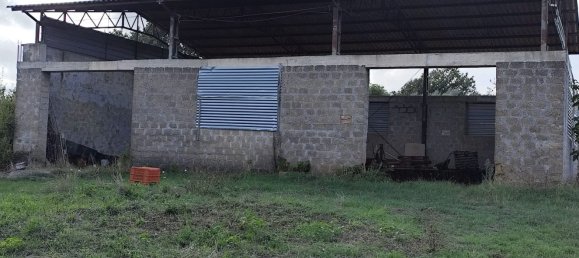 Grundstück in Marta, Italy, Nr. 338848 6