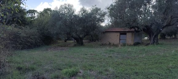 Grundstück in Marta, Italy, Nr. 338848 9