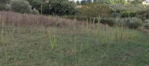 Grundstück in Marta, Italy, Nr. 338848 4