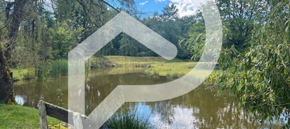 10 rooms Castles in La Ferte-Saint-Aubin, France No. 243016 6