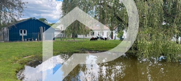 10 rooms Castles in La Ferte-Saint-Aubin, France No. 243016 3