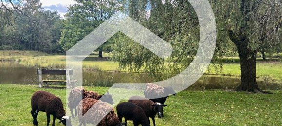 10 rooms Castles in La Ferte-Saint-Aubin, France No. 243016 5