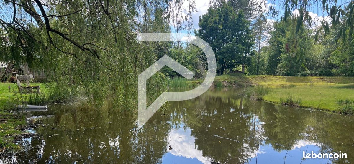 10 rooms Castles in La Ferte-Saint-Aubin, France No. 243016