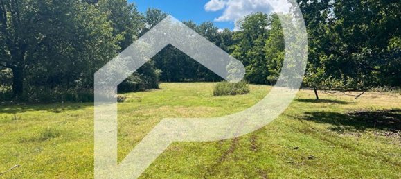 10 rooms Castles in La Ferte-Saint-Aubin, France No. 243016 7