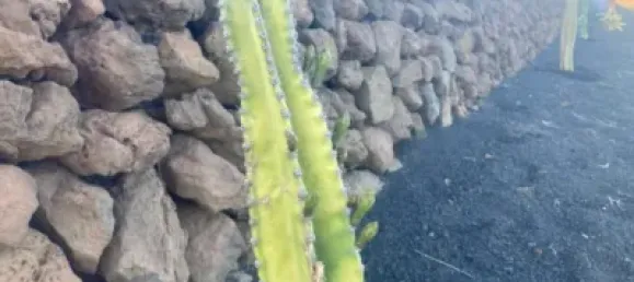  قطعة أرض في Segovia, Spain رقم 180045 2