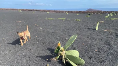 قطعة أرض في Segovia, Spain رقم 180045